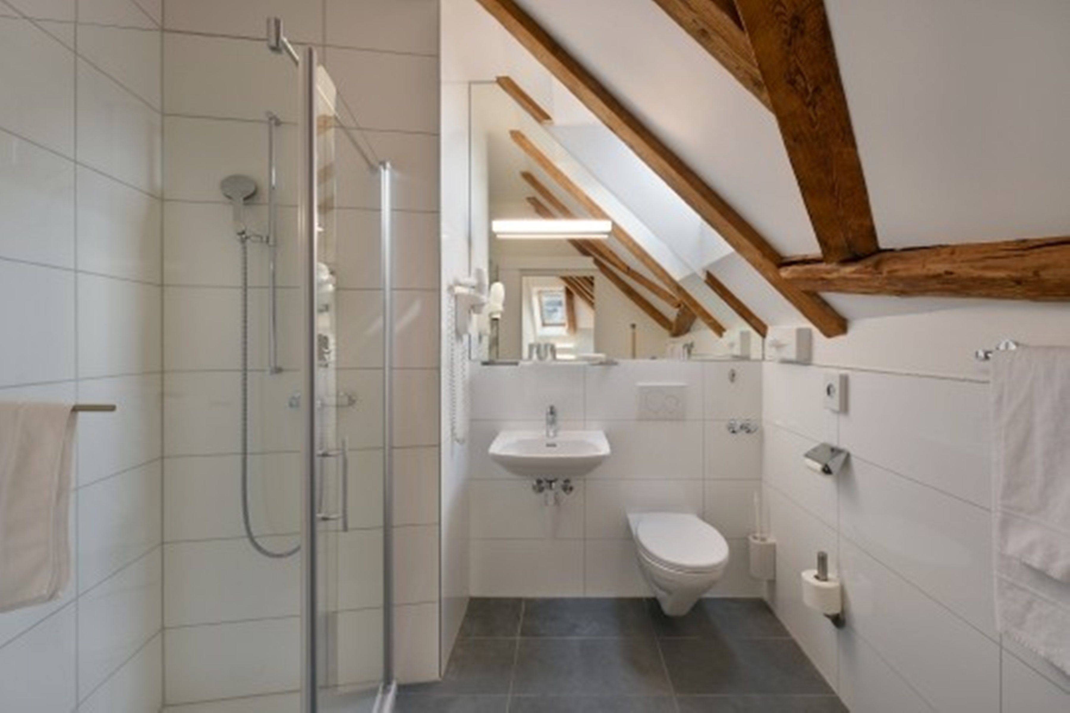 triple room | bathroom | shower, hair dryer, towels