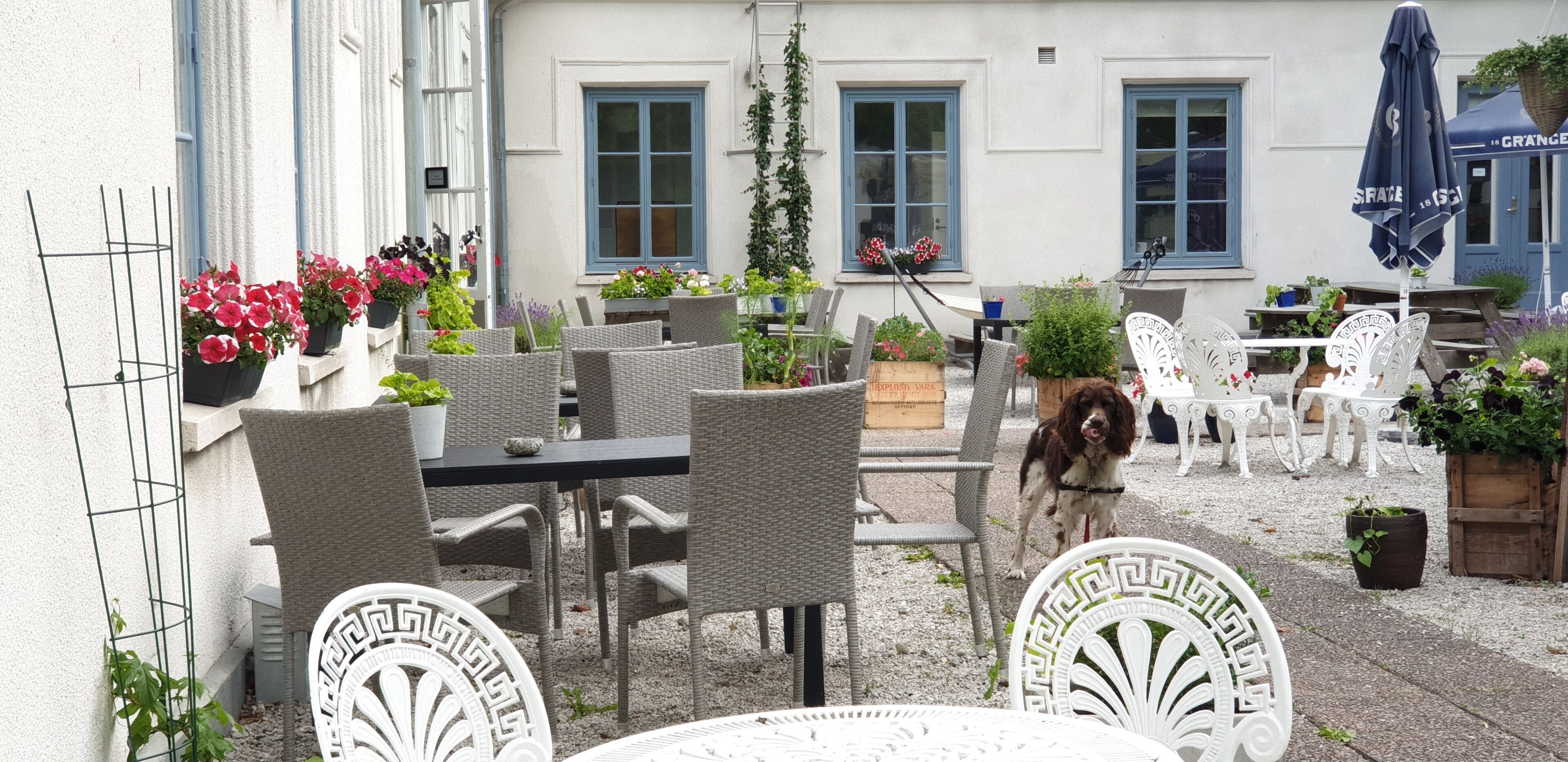 An outdoor seating area with wicker chairs and tables, surrounded by potted plants and flowers.