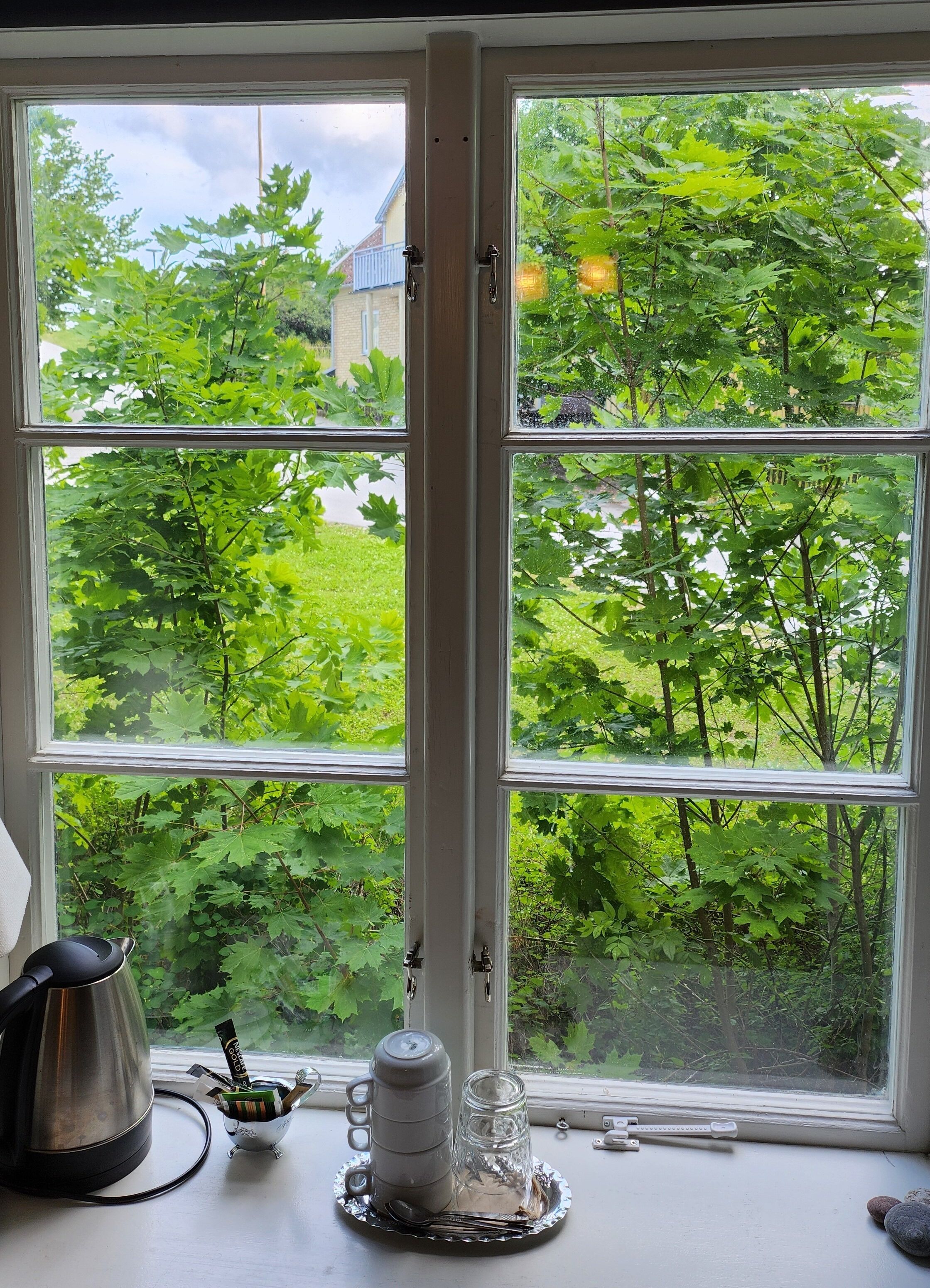 A window with a view of a green garden and a building in the background.
