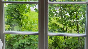 A window with a view of a green garden and a building in the background.