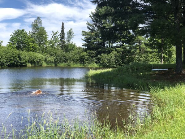 A calm lake surrounded by lush greenery and trees.
