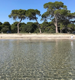 Serviettes de plage