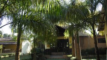 A courtyard with palm trees, a covered seating area, and a building with a tiled roof.