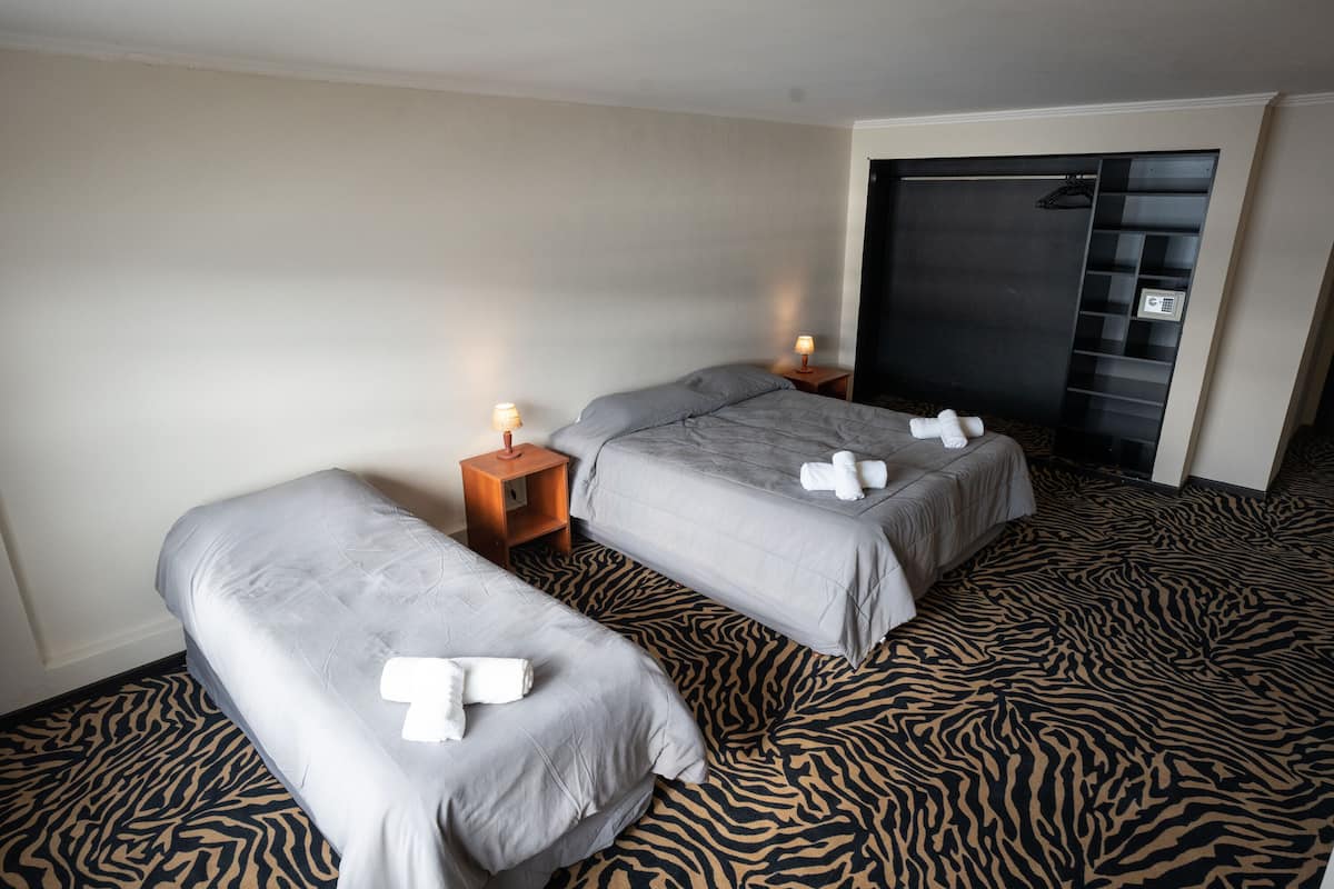 A hotel room with two beds, a zebra-patterned carpet, and a wardrobe with a mirror.