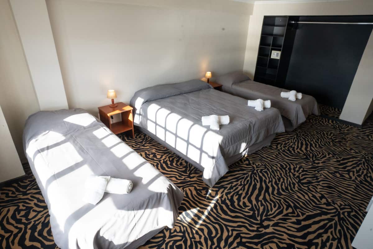 A hotel room with two beds, a zebra-patterned carpet, and a wardrobe.