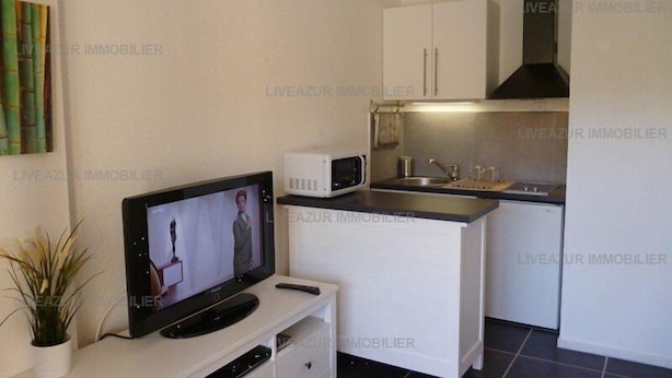 A compact kitchen with a microwave, sink, and cabinets. A television is on a stand with a remote control. - Studio with terrace in residence with swimming pool for 4 (SANARY SUR MER)