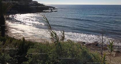 2 bedroom apartment on garden floor with terrace pour 4