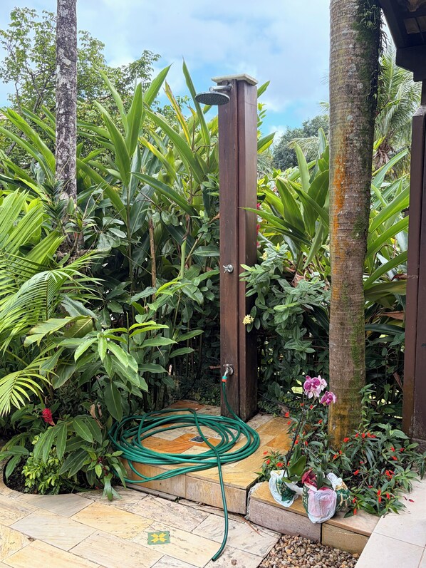 A garden with a wooden structure, a hose, and various plants.