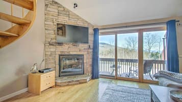TV, fireplace, books