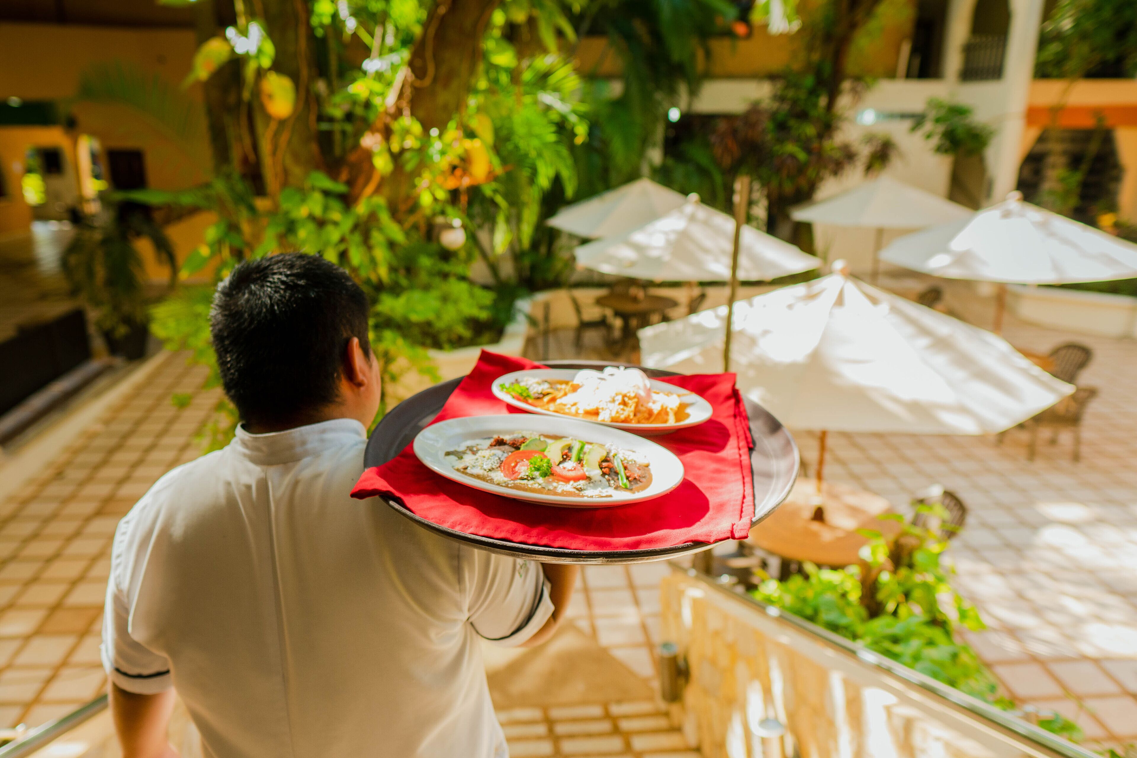 Photo - Maya Tulipanes Express