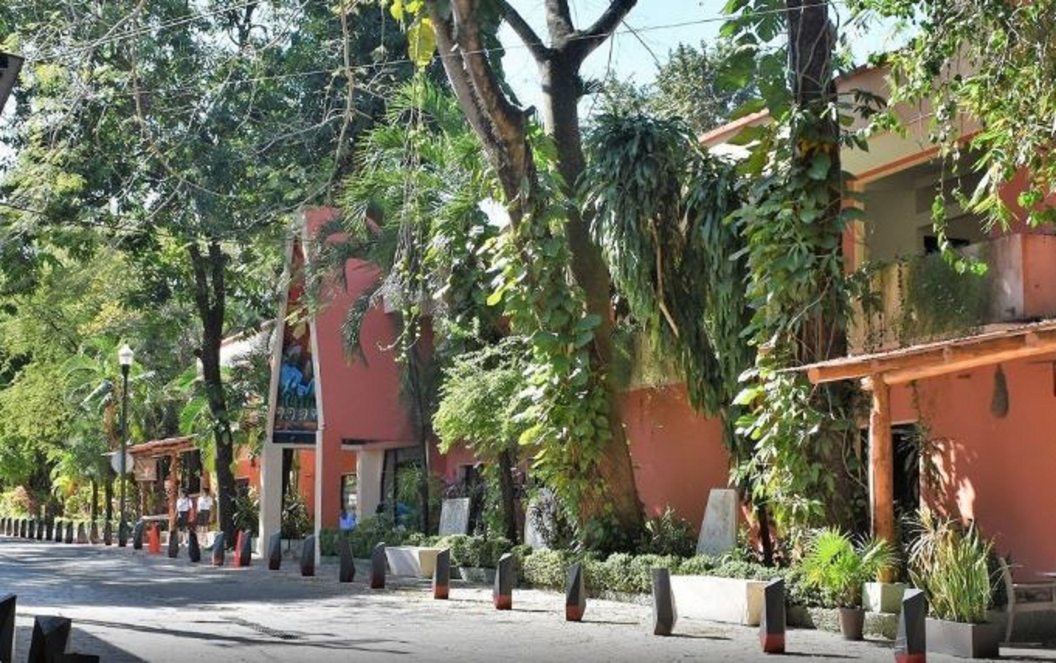 Photo - Maya Tulipanes Express