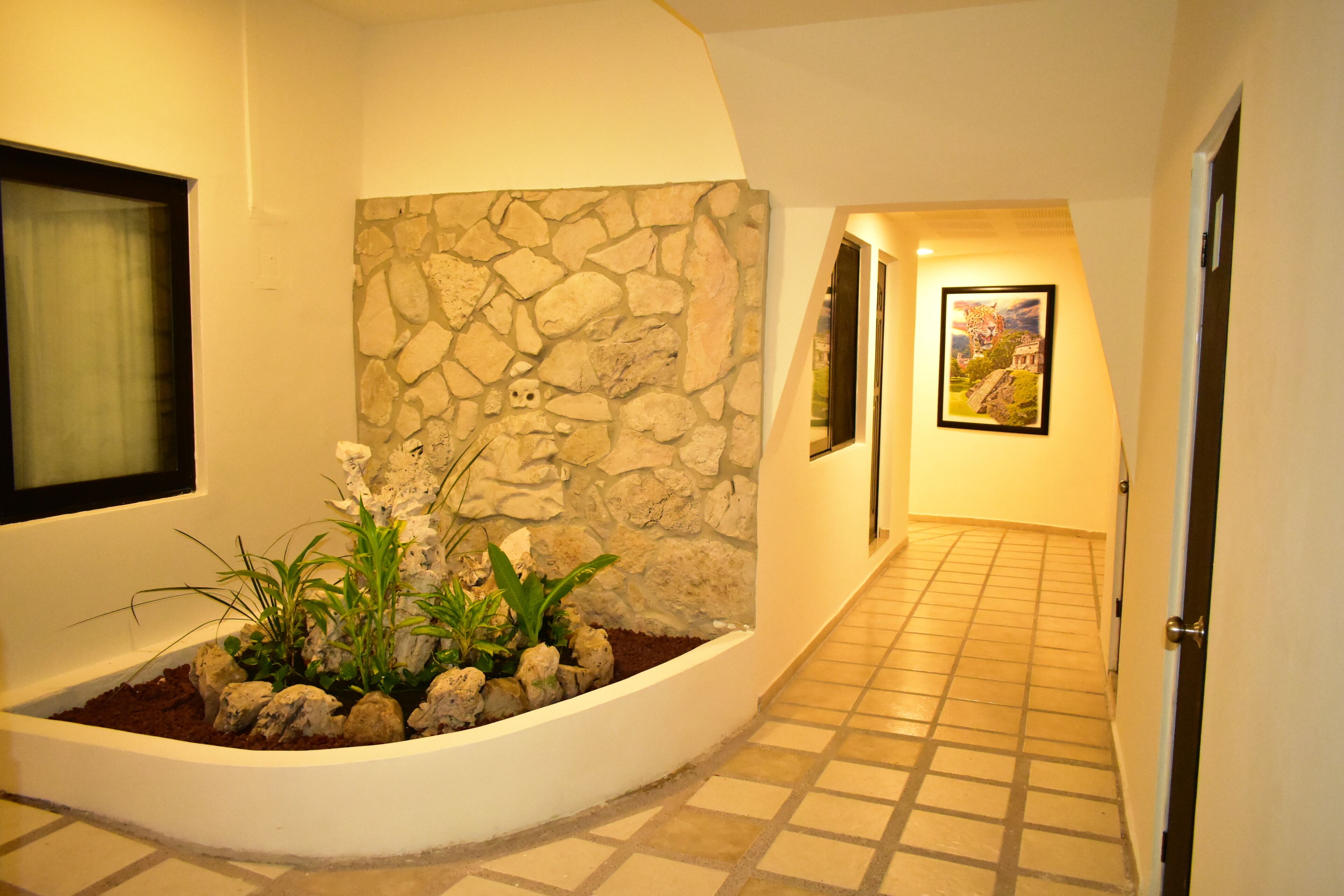 Photo - Maya Tulipanes Express