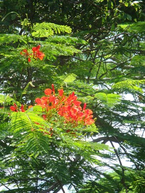 Parco della struttura
