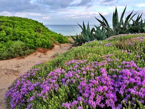 Plage, serviettes de plage