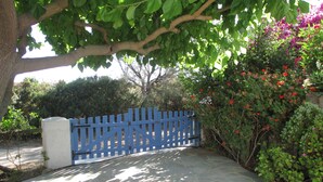 Un chemin de pierres menant à une porte en bois bleue, entourée d’une végétation luxuriante et de plantes en fleurs.