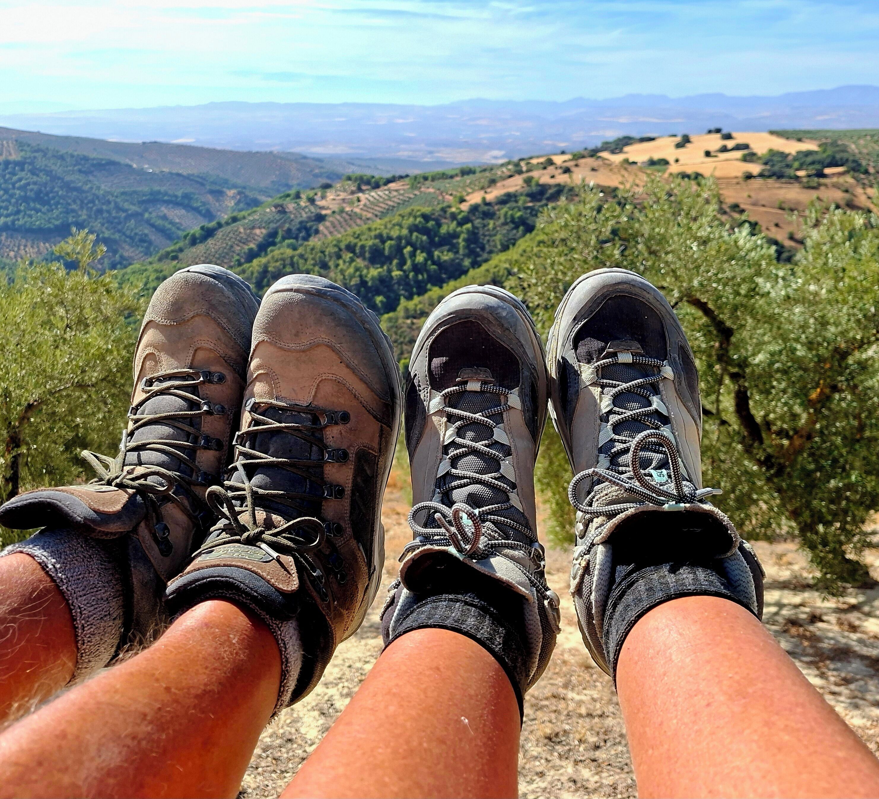 A pair of hiking boots on a person's feet, overlooking a hilly landscape with vineyards.