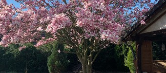 Nydelig hus i Köln, for opptil 10 personer. En stor privat hage.