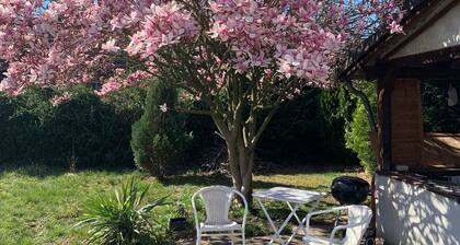Belle maison à Cologne, pouvant accueillir jusqu'à 10 personnes. Un grand jardin privé.