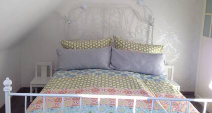 Beautiful house in Cologne, for up to 10 people. A large private garden.