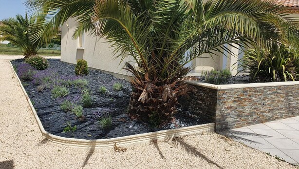 Una casa amb un mur de pedra de sostreball, un jardí paisatjat amb grava i plantes, i una palmera.
