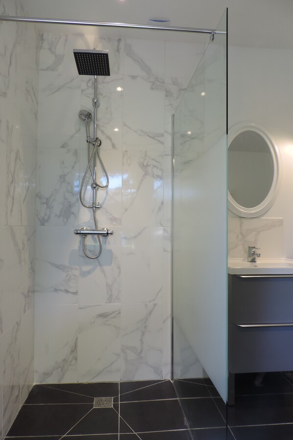 Shower, hair dryer