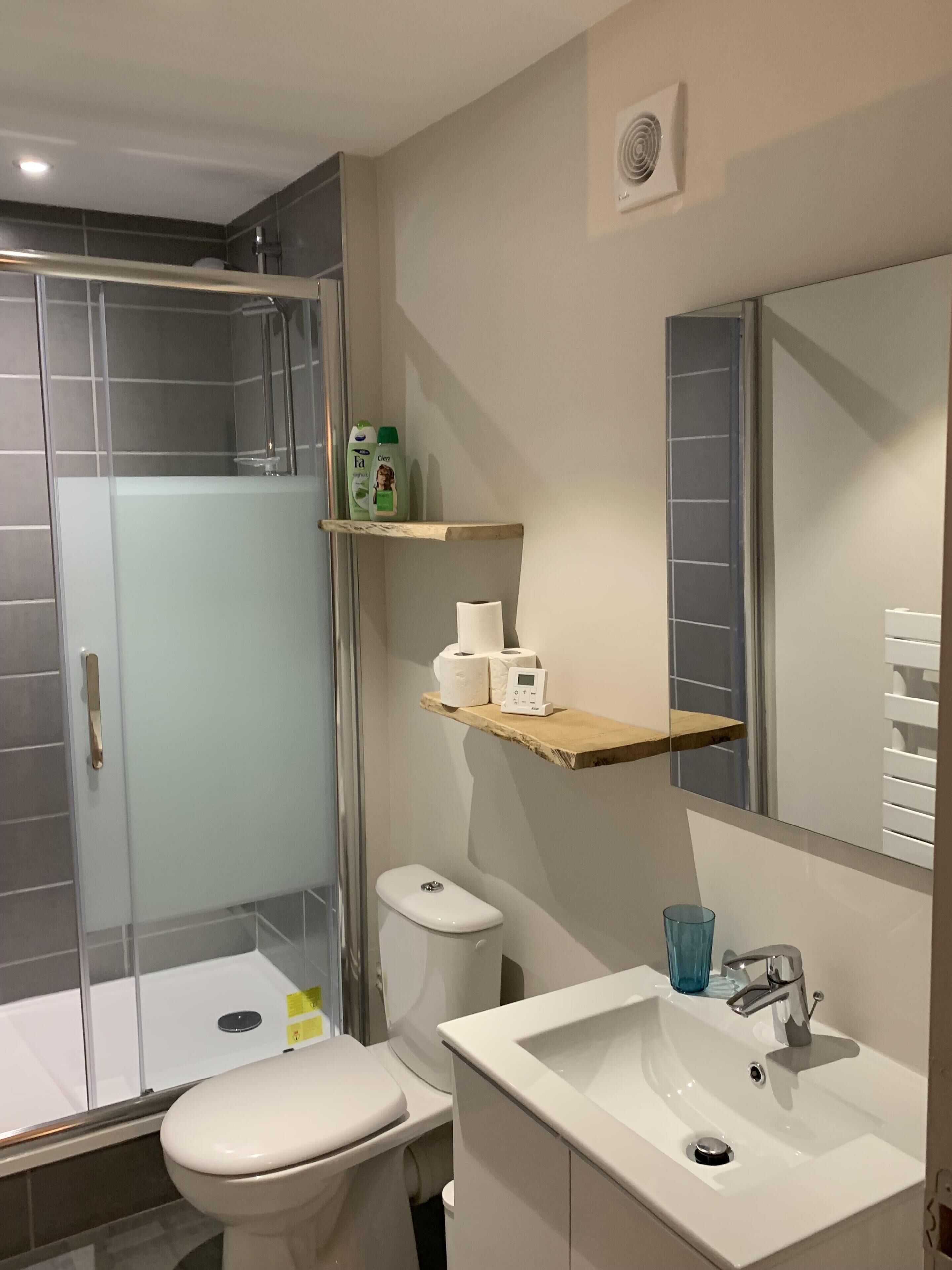 A modern bathroom with a glass-enclosed shower, a toilet, a sink with a mirror, and shelves with toiletries.