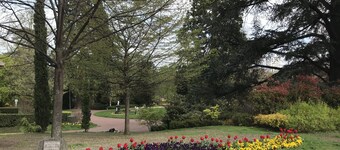 Apartment "Chill & Work" central plateau