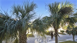 A street lined with palm trees and a paved road. - Sunset Rentals | Crabline 39 | Dog Friendly (Hilton Head Island)