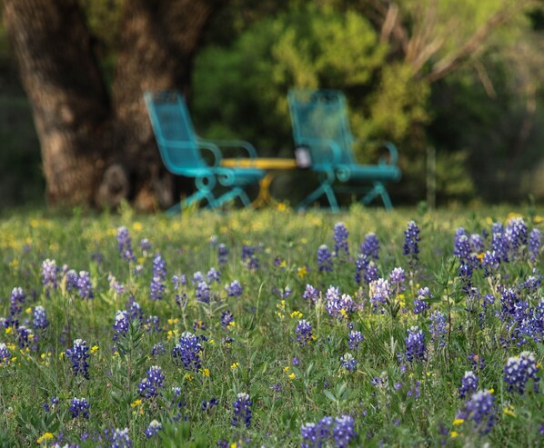 Property grounds - Cozy 3BR Stone Home Near Trails & Lake Fun (Burnet)