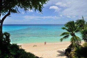 A beach with clear turquoise water, a sandy shore, and a palm tree. - Secret Cove 1 (Derricks)