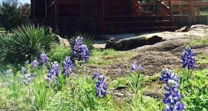 Effizienz Log Cabin Loft Schlafzimmer-Kingsize-Bett / Bad. Erdgeschoss-Wohn- / Esszimmer