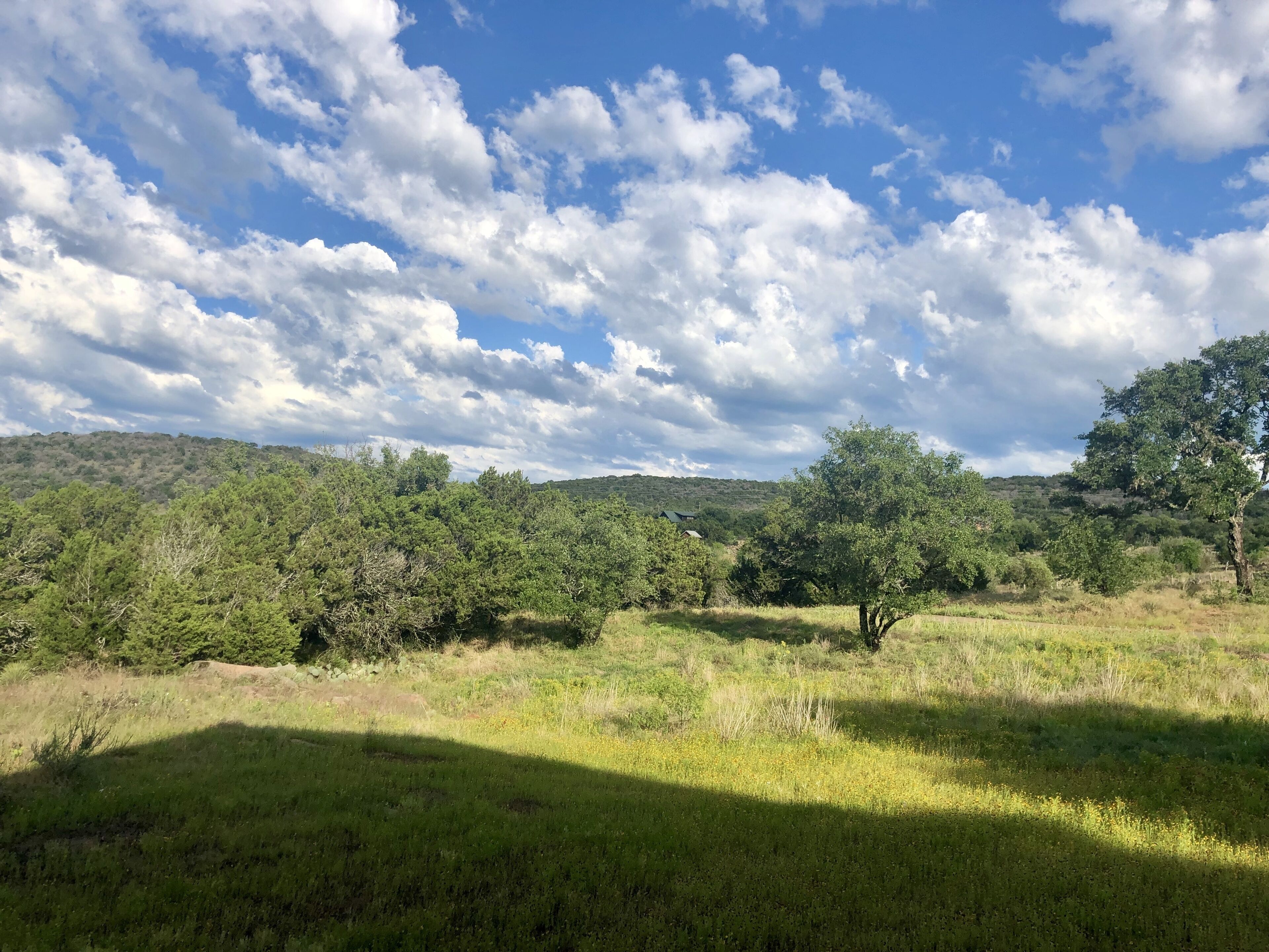 Un paysage naturel avec des arbres et une colline en arrière-plan.