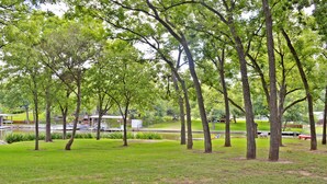 Un parc avec des arbres, de l’herbe et un petit étang.