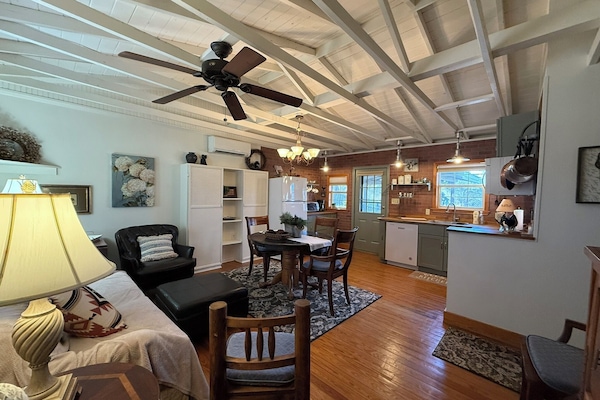 电视、DVD 播放器