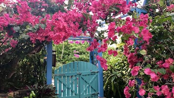 Jardines del alojamiento