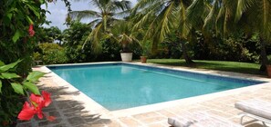 Outdoor pool - Villa Evergreen (Paynes Bay)