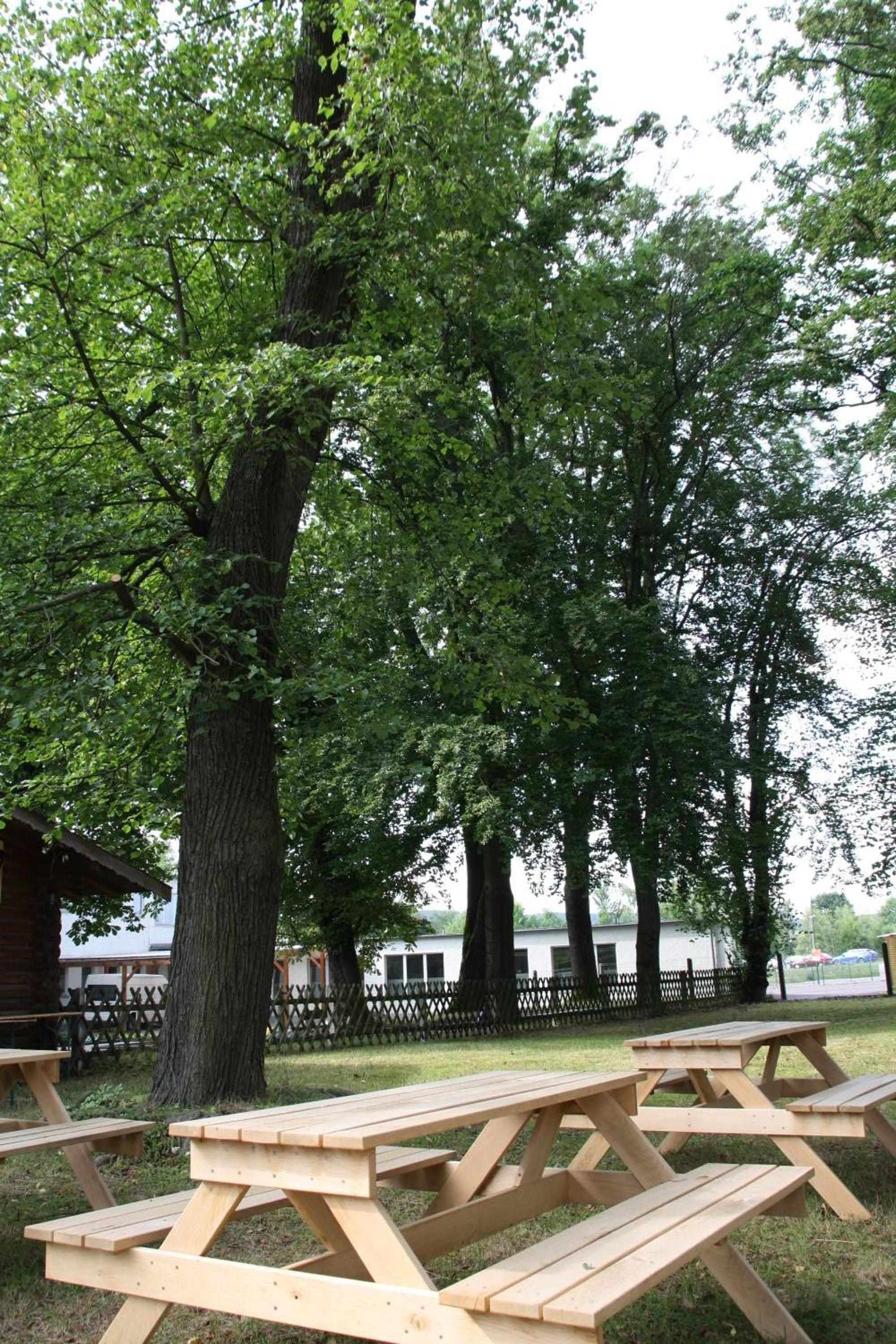 Ein Picknickbereich mit Holztischen und -bänken, umgeben von Bäumen und einem Zaun.