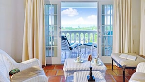 TV, DVD player - Villa Mariposa (Les Terres Basses)