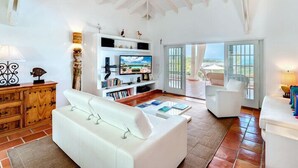 TV, DVD player - Villa Mariposa (Les Terres Basses)