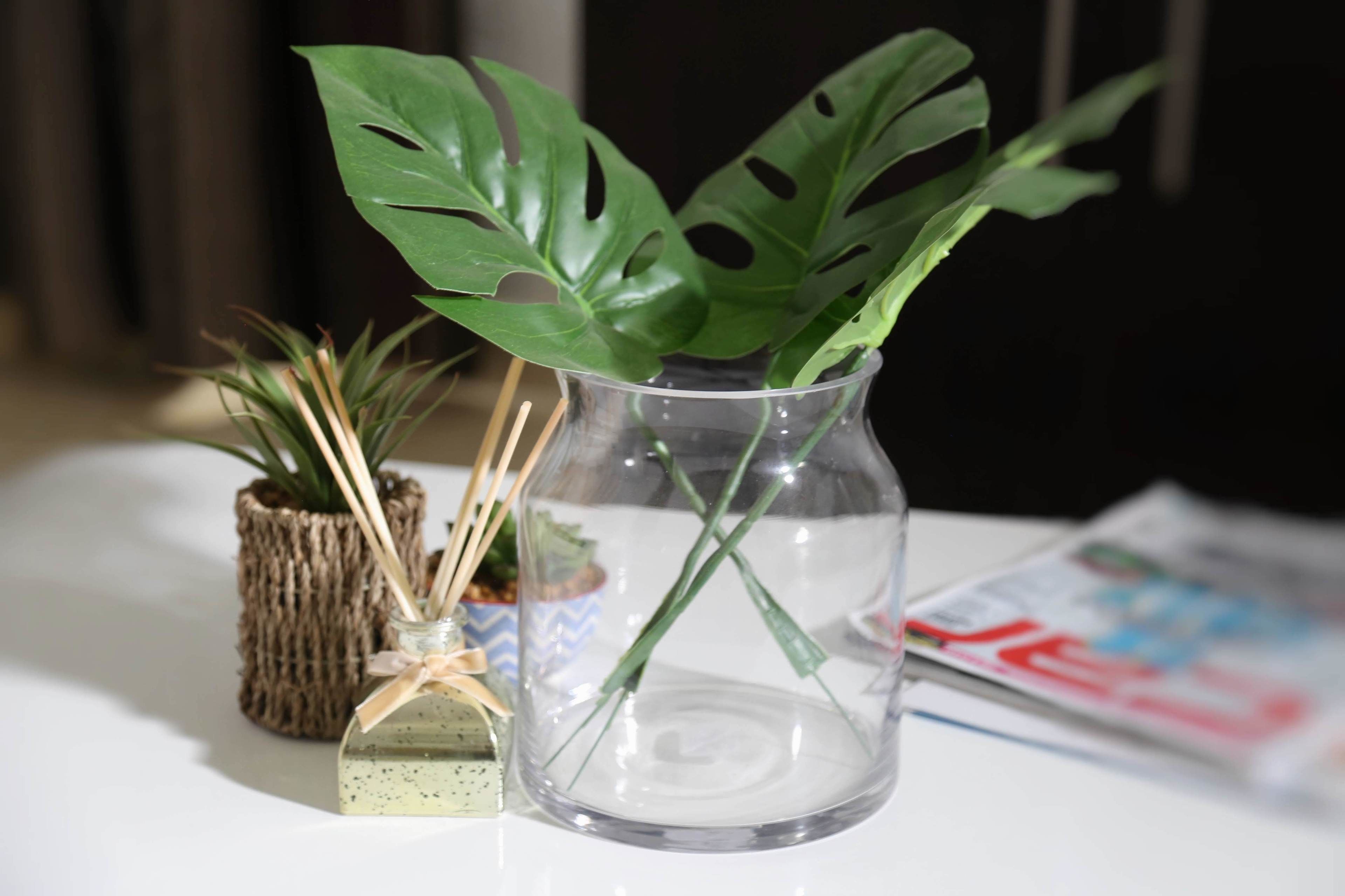 A clear glass vase with a single green plant, a small potted plant, and a decorative item with a ribbon on a table.