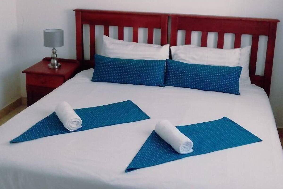 Deluxe Double or Twin Room (Unit 5) | Premium bedding, down comforters, Select Comfort beds, blackout drapes