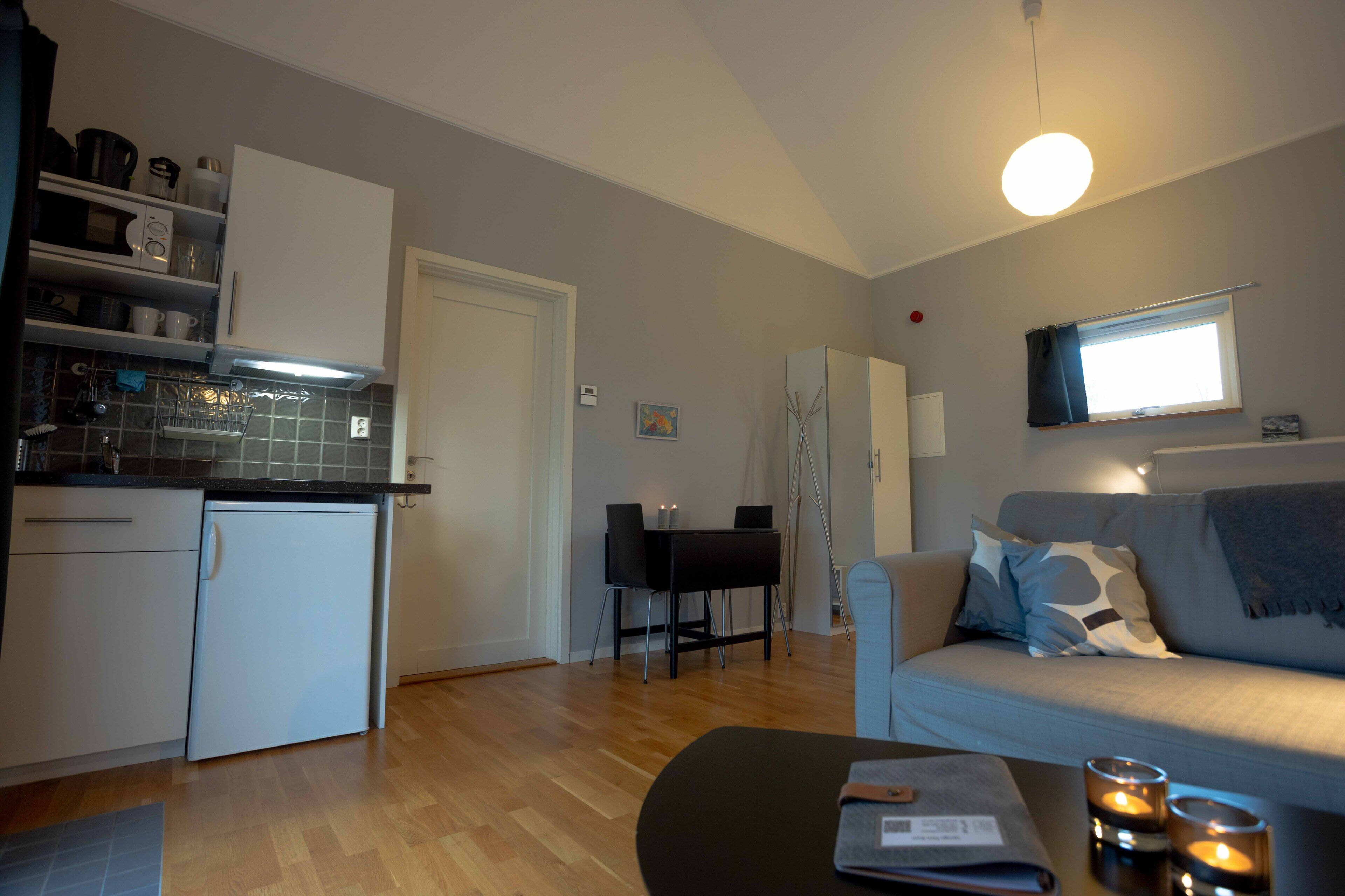 studio large | private kitchen | fridge, microwave, stovetop, electric kettle