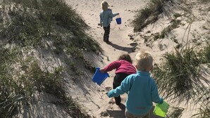 A sandy beach with vegetation and a view of the ocean. - Ljungs Fem Rum (Gotlands Tofta)