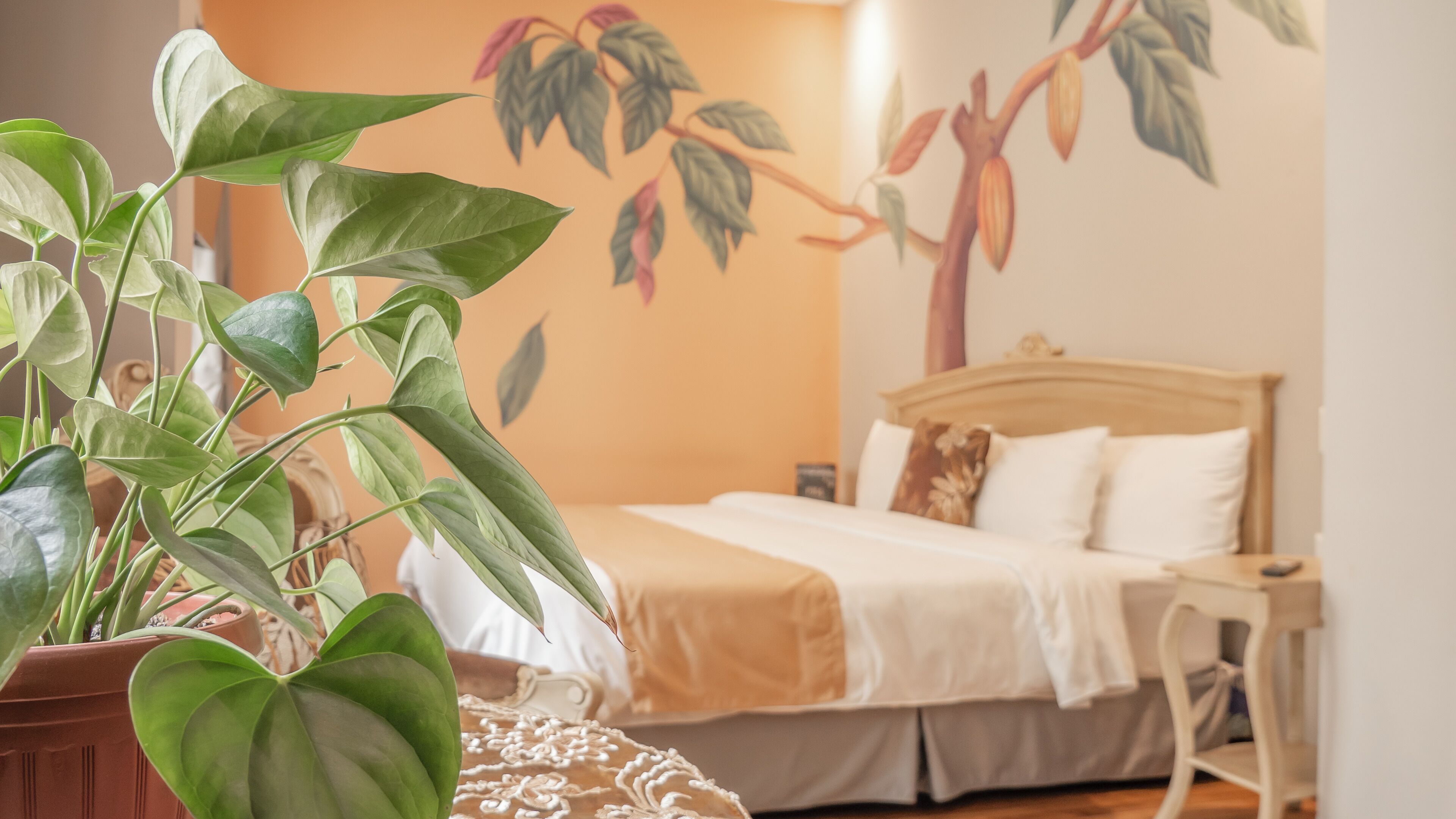 Un dormitorio con una cama, una mesita de noche, una silla y una planta en maceta.