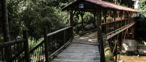 A wooden bridge with a metal railing, surrounded by dense greenery.