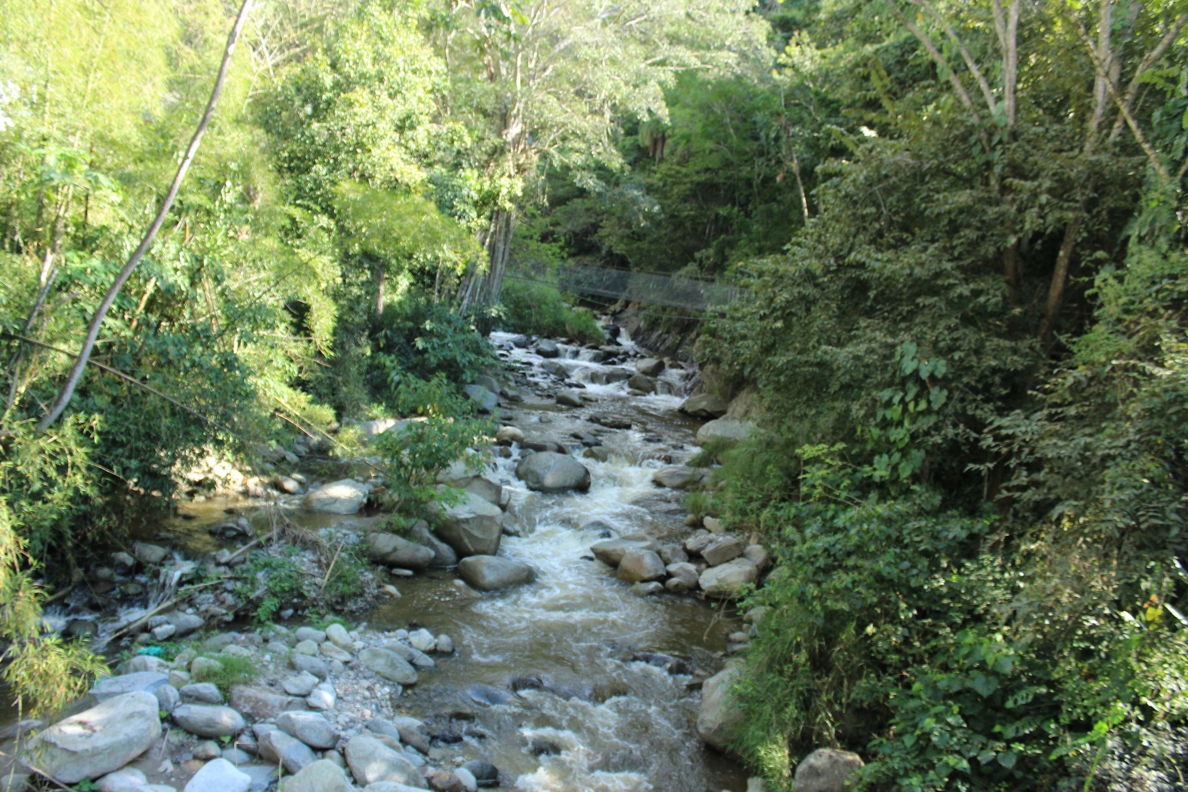 Ein Fluss fließt durch ein bewaldetes Gebiet mit Felsen und Bäumen.
