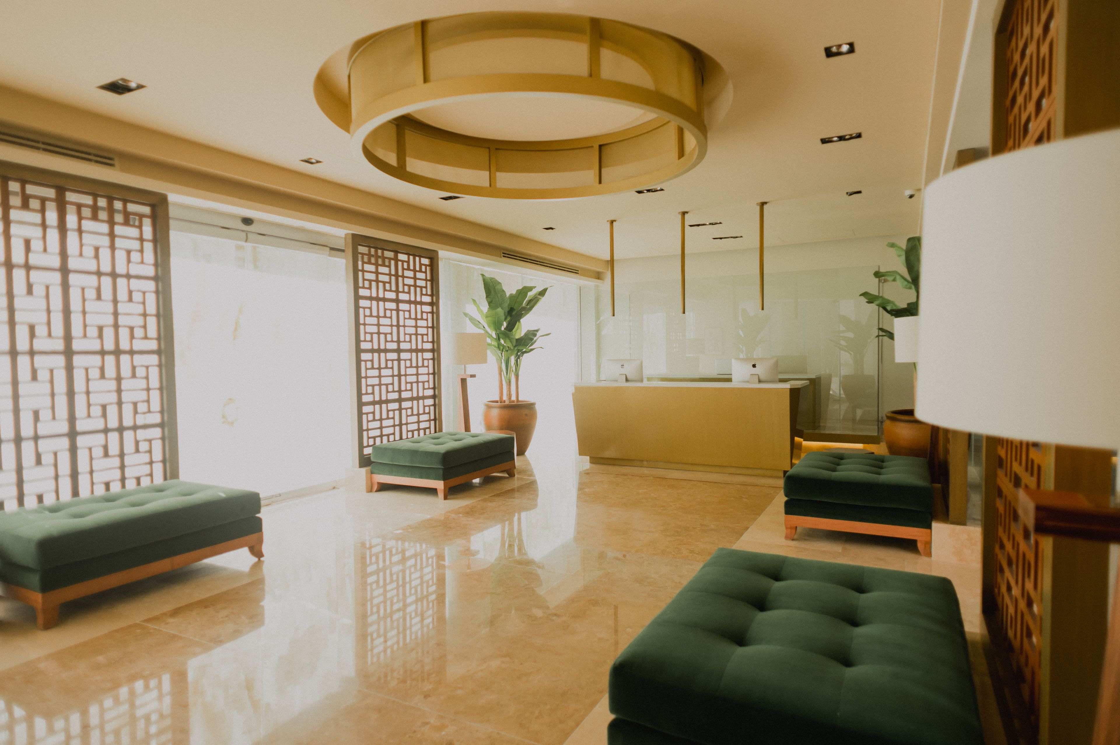 A modern reception area with a green sofa, a potted plant, and a wooden reception desk.