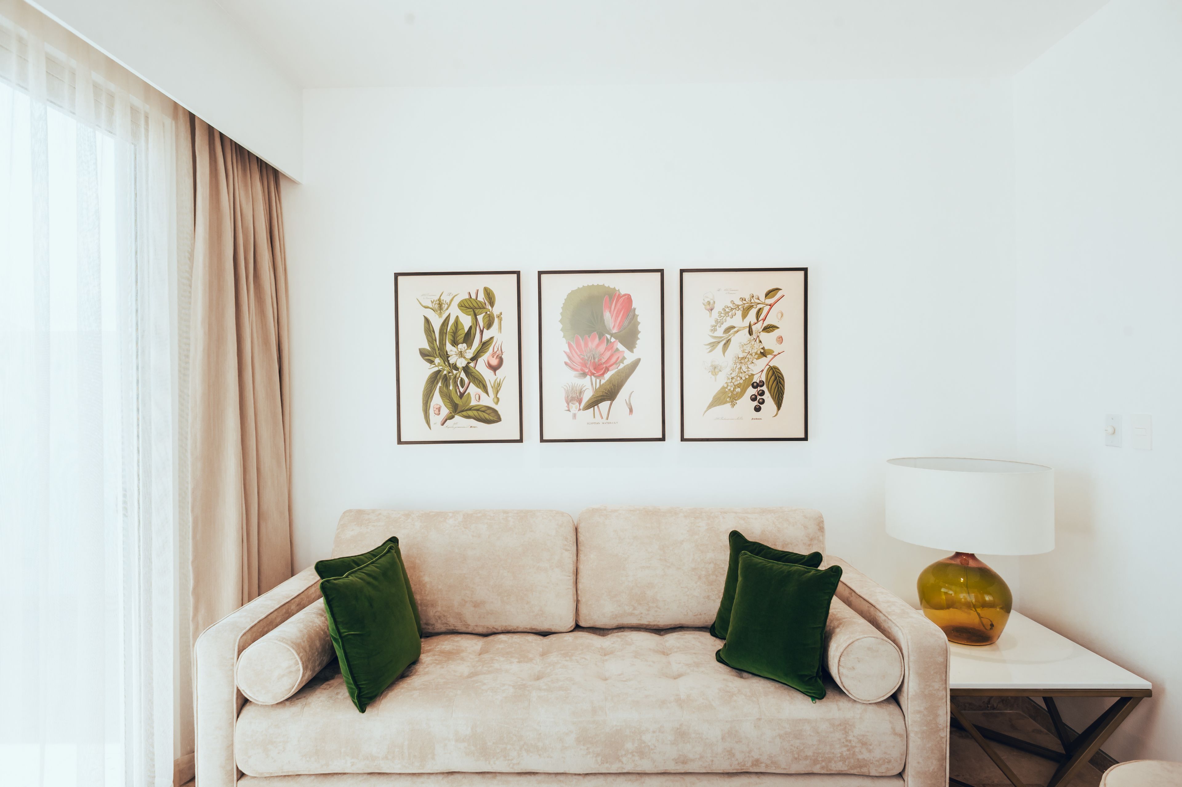 Uma sala de estar com um sofá bege, duas almofadas verdes e três ilustrações botânicas emolduradas na parede.