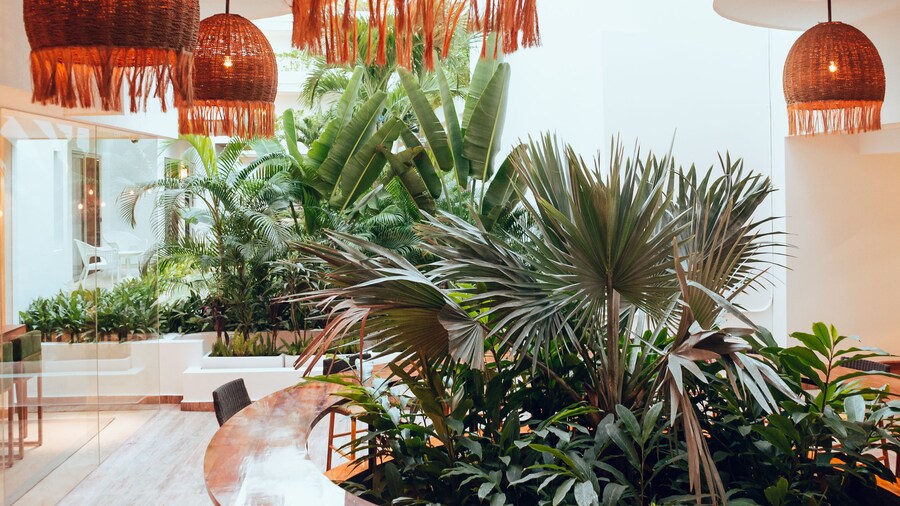 Antera Hotel & Residences