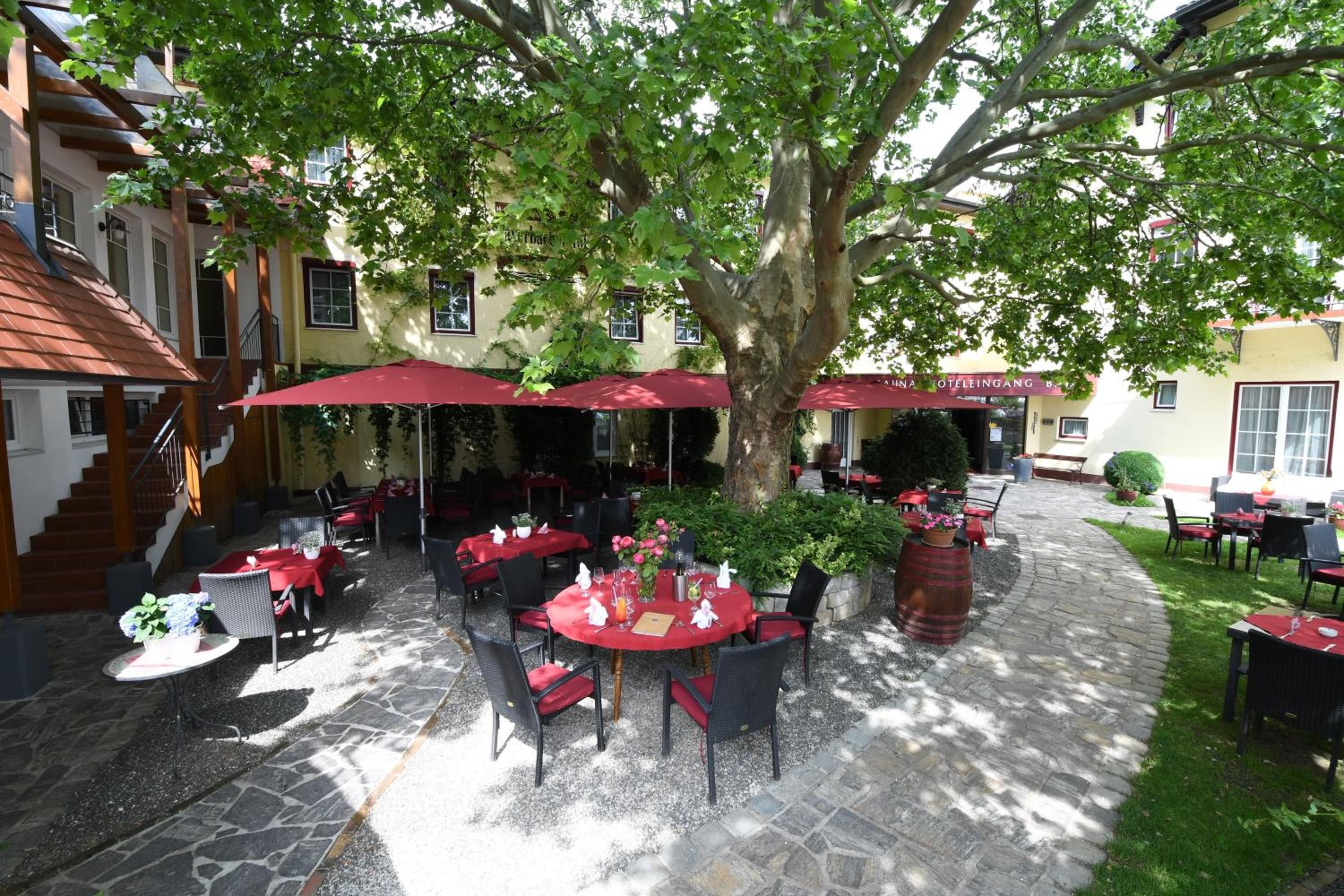 An outdoor dining area with tables and chairs, covered by red umbrellas, and surrounded by trees.